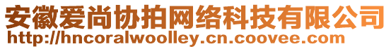 安徽愛尚協拍網絡科技有限公司