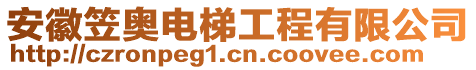 安徽笠?jiàn)W電梯工程有限公司