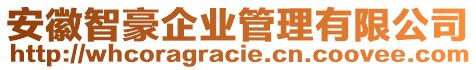 安徽智豪企业管理有限公司