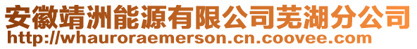 安徽靖洲能源有限公司蕪湖分公司