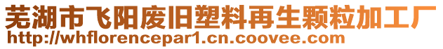 蕪湖市飛陽廢舊塑料再生顆粒加工廠