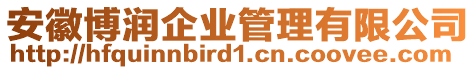 安徽博潤企業(yè)管理有限公司