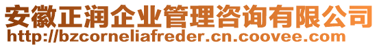 安徽正潤企業(yè)管理咨詢有限公司