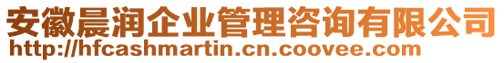 安徽晨潤企業(yè)管理咨詢有限公司