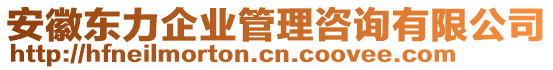 安徽東力企業(yè)管理咨詢有限公司