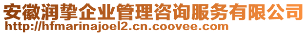 安徽潤摯企業(yè)管理咨詢服務(wù)有限公司