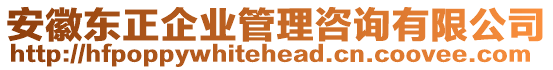 安徽東正企業(yè)管理咨詢(xún)有限公司