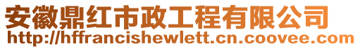 安徽鼎红市政工程有限公司