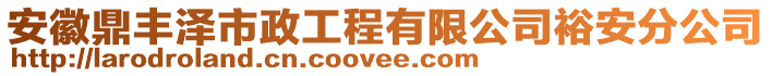 安徽鼎豐澤市政工程有限公司裕安分公司