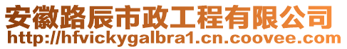 安徽路辰市政工程有限公司