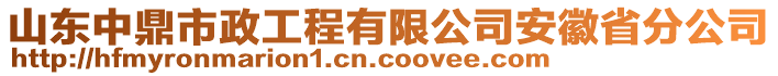 山东中鼎市政工程有限公司安徽省分公司