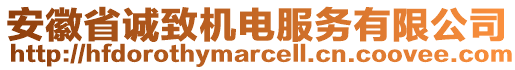 安徽省誠(chéng)致機(jī)電服務(wù)有限公司