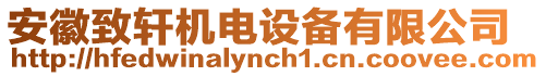 安徽致軒機(jī)電設(shè)備有限公司