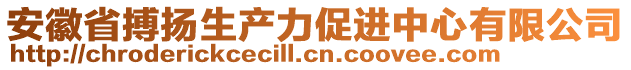 安徽省搏揚生產(chǎn)力促進中心有限公司