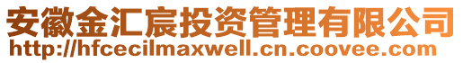 安徽金匯宸投資管理有限公司