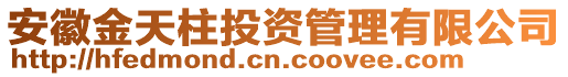 安徽金天柱投資管理有限公司