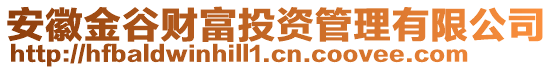 安徽金谷財(cái)富投資管理有限公司