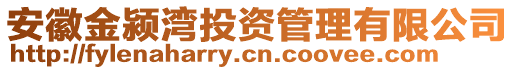 安徽金潁灣投資管理有限公司