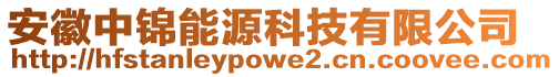 安徽中錦能源科技有限公司