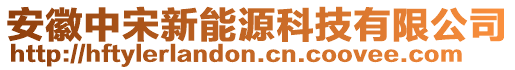 安徽中宋新能源科技有限公司