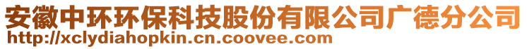 安徽中環(huán)環(huán)保科技股份有限公司廣德分公司