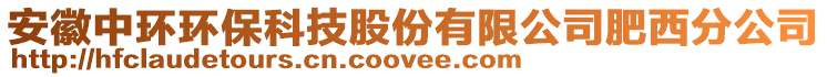 安徽中環(huán)環(huán)保科技股份有限公司肥西分公司