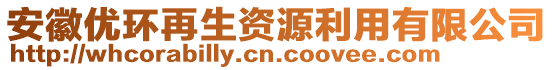 安徽優(yōu)環(huán)再生資源利用有限公司