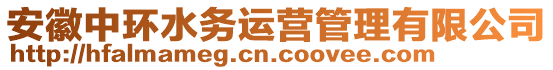 安徽中環(huán)水務(wù)運(yùn)營(yíng)管理有限公司