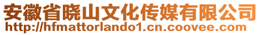 安徽省晓山文化传媒有限公司