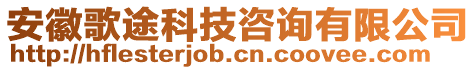 安徽歌途科技咨詢有限公司