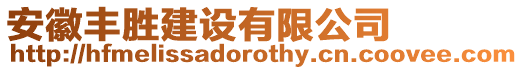 安徽豐勝建設(shè)有限公司