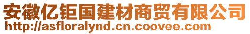 安徽亿钜国建材商贸有限公司