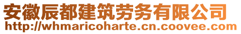 安徽辰都建筑勞務(wù)有限公司