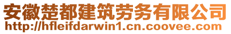 安徽楚都建筑勞務(wù)有限公司