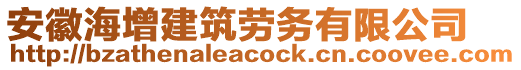 安徽海增建筑勞務(wù)有限公司