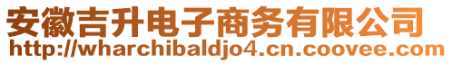 安徽吉升電子商務(wù)有限公司