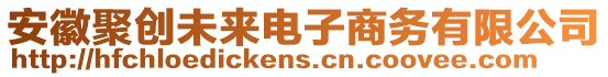 安徽聚創(chuàng)未來電子商務有限公司