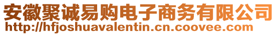 安徽聚誠易購電子商務(wù)有限公司