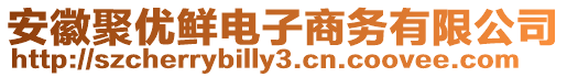 安徽聚優(yōu)鮮電子商務有限公司