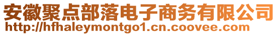 安徽聚點(diǎn)部落電子商務(wù)有限公司