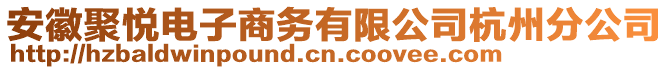 安徽聚悅電子商務(wù)有限公司杭州分公司