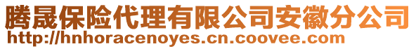 騰晟保險代理有限公司安徽分公司