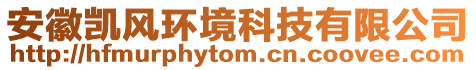 安徽凱風(fēng)環(huán)境科技有限公司