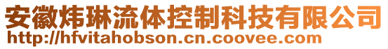 安徽煒琳流體控制科技有限公司