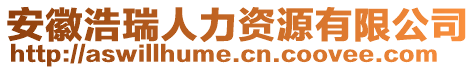 安徽浩瑞人力資源有限公司