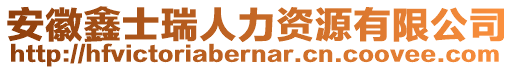 安徽鑫士瑞人力資源有限公司