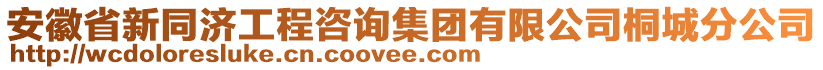 安徽省新同濟(jì)工程咨詢(xún)集團(tuán)有限公司桐城分公司