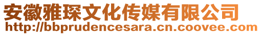 安徽雅琛文化傳媒有限公司