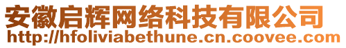 安徽啟輝網(wǎng)絡(luò)科技有限公司