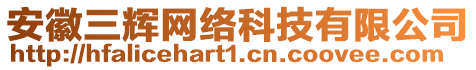 安徽三輝網(wǎng)絡(luò)科技有限公司